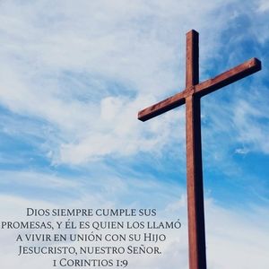 Meet your Posher, Alejandra